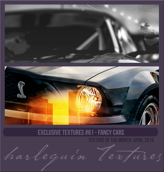 EXCLUSIVE PACK #061 [FANCY CARS]
