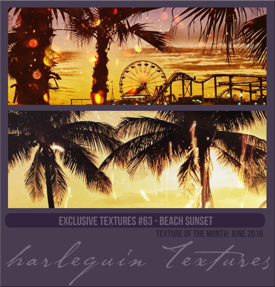 EXCLUSIVE PACK #063 [BEACH SUNSET]
