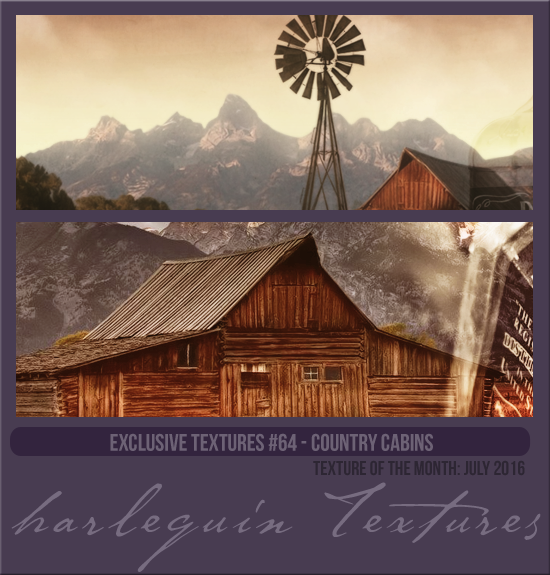 EXCLUSIVE PACK #064 [COUNTRY CABINS]
