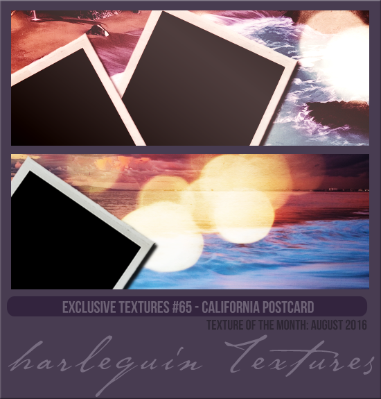 EXCLUSIVE PACK #065 [CALIFORNIA POSTCARD]
