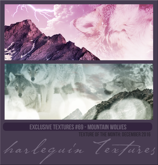 EXCLUSIVE PACK #069 [MOUNTAIN WOLVES]
