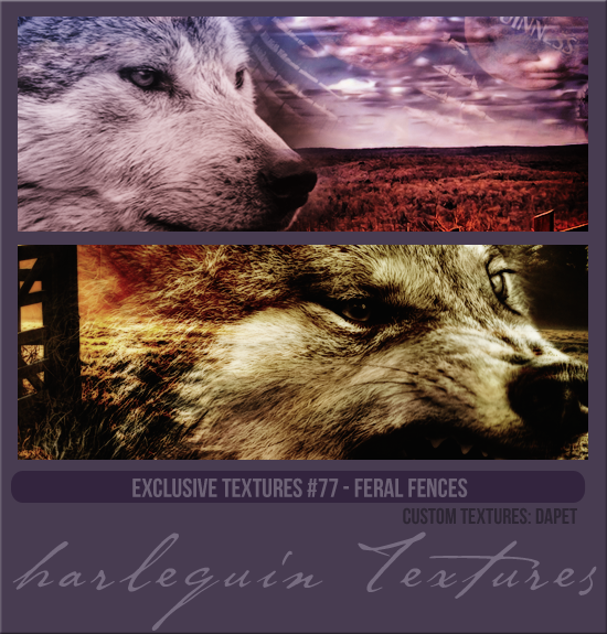 EXCLUSIVE PACK #077 [FERAL FENCES]
