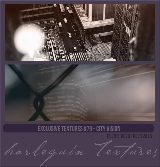 EXCLUSIVE PACK #079 [CITY VISION]
