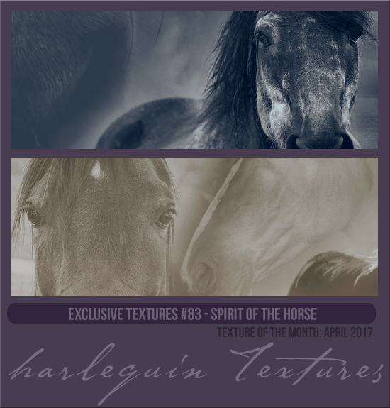 EXCLUSIVE PACK #083 [SPIRIT OF THE HORSE]
