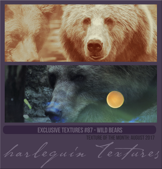 EXCLUSIVE PACK #087 [WILD BEARS]
