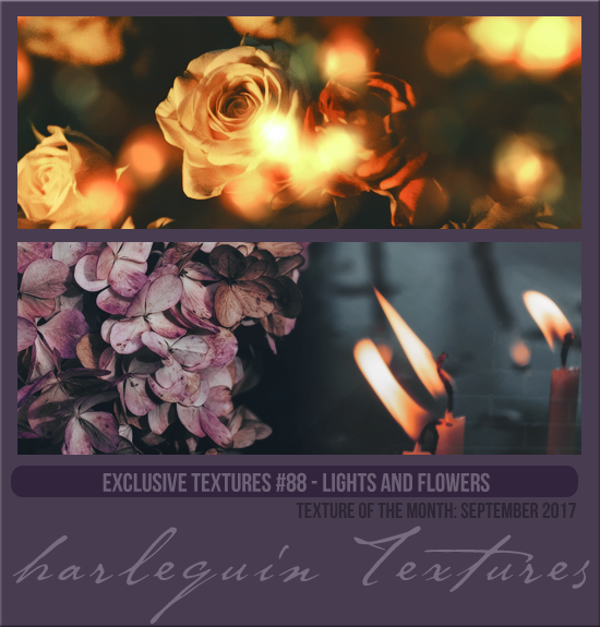 EXCLUSIVE PACK #088 [LIGHTS AND FLOWERS]
