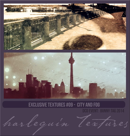 EXCLUSIVE PACK #009 [CITY AND FOG]
