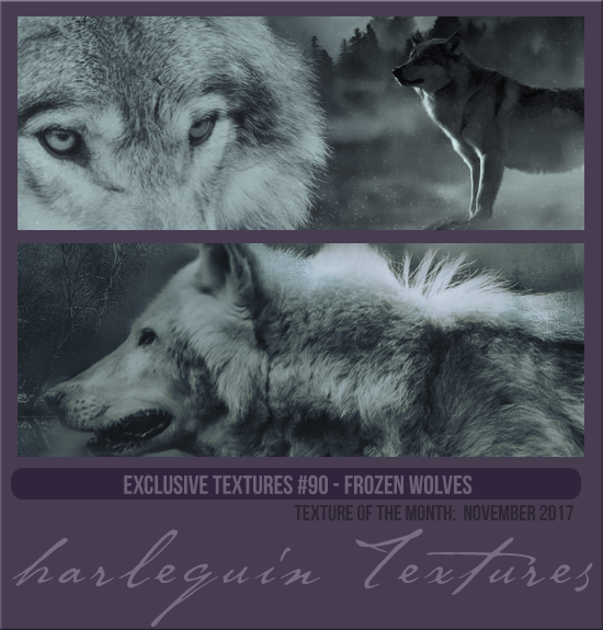 EXCLUSIVE PACK #090 [FROZEN WOLVES]
