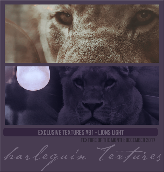 EXCLUSIVE PACK #091 [LIONS LIGHT]
