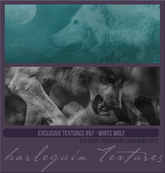 EXCLUSIVE PACK #097 [WHITE WOLF]
