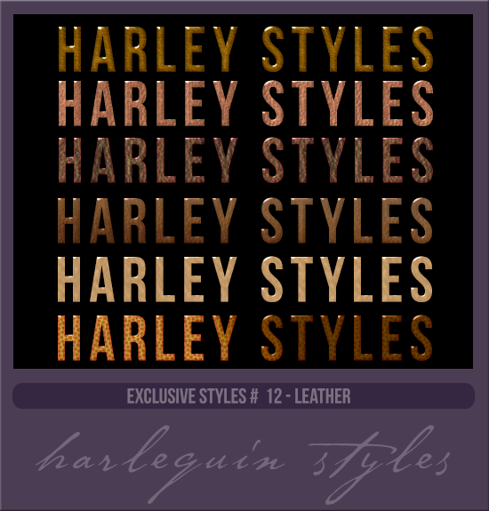 EXCLUSIVE STYLES #012 [LEATHER]
