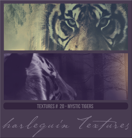 TEXTURE PACK #020 [MYSTIC TIGERS]
