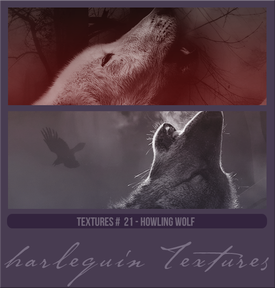 TEXTURE PACK #021 [HOWLING WOLVES]
