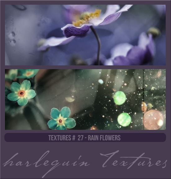 TEXTURE PACK #027 [RAIN FLOWERS]
