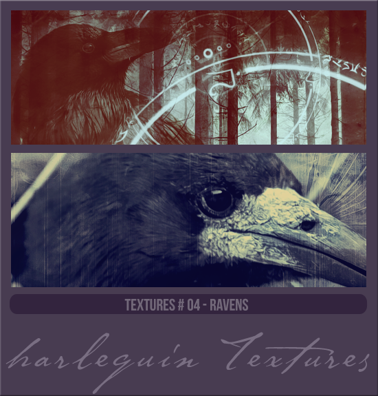 TEXTURE PACK #004 [RAVENS]
