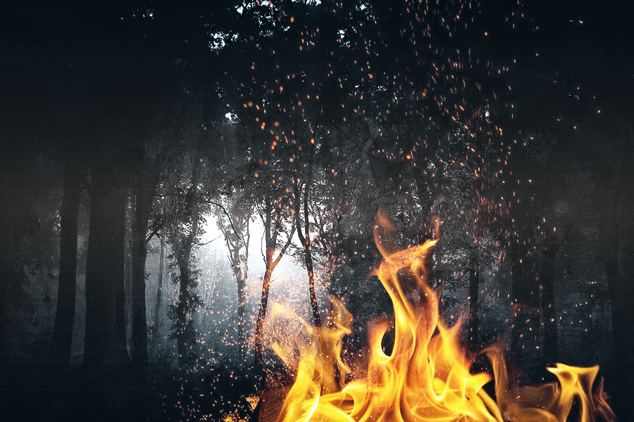 HQtextures_forestonfire.png