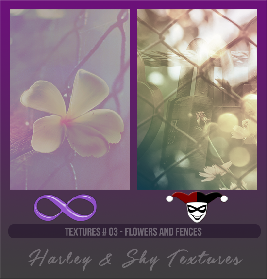 HARLEY & SHY #003 [FLOWERS AND FENCES]
