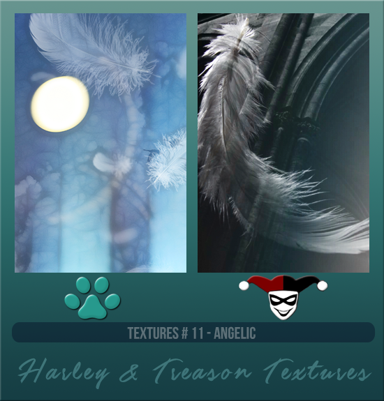 HARLEY & TREASON #011 [ANGELIC]
