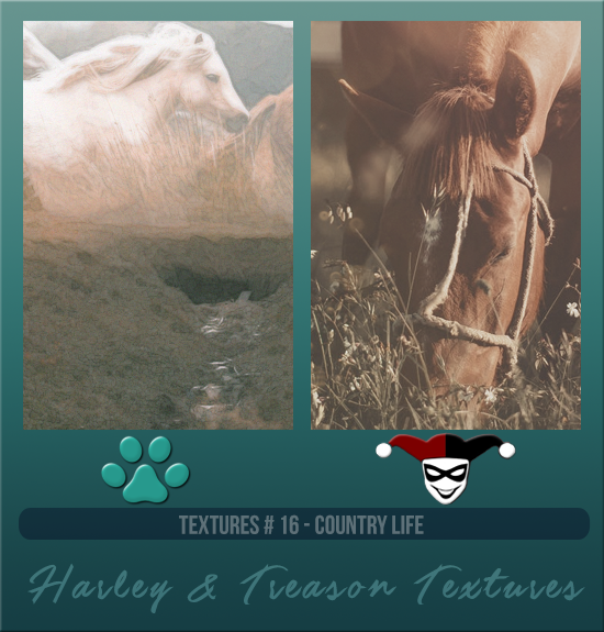 HARLEY & TREASON #016 [COUNTRY LIFE]
