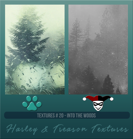 HARLEY & TREASON #020 [INTO THE WOODS]
