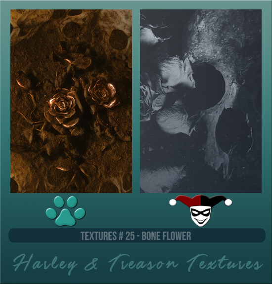 HARLEY & TREASON #025 [BONE FLOWER]
Available August 2024 (Summer Beach Party 2023)
