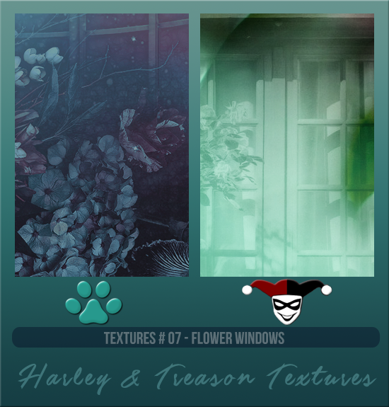 HARLEY & TREASON  #007 [FLOWER WINDOWS]
