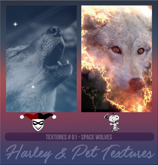 HARLEY & PET #001 [SPACE WOLVES]
