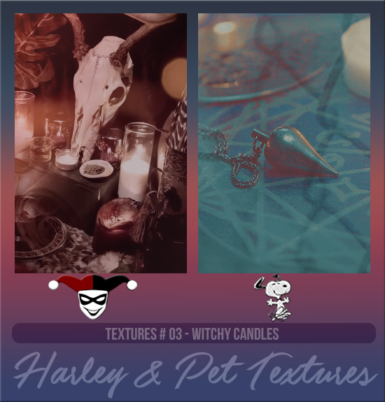 HARLEY & PET #003 [WITCHY CANDLES]
