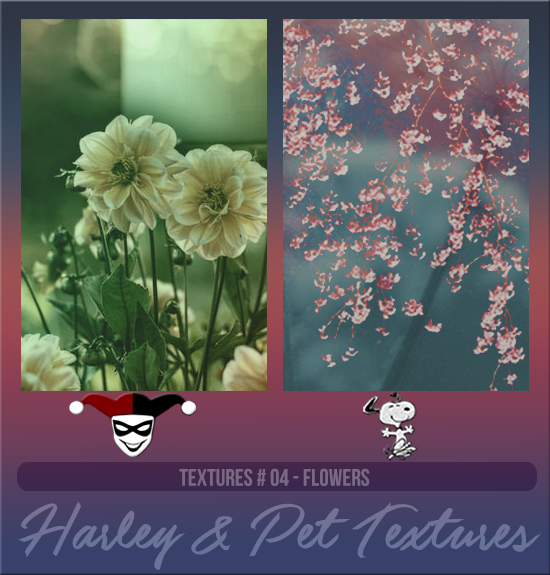 HARLEY & PET #004 [FLOWERS]
