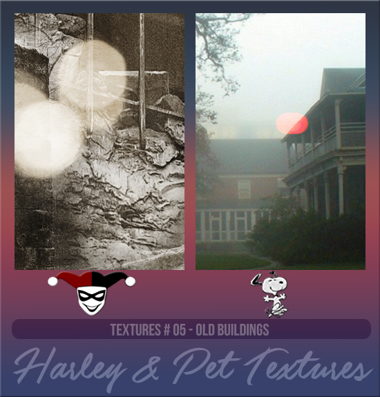 HARLEY & PET #005 [OLD BUILDINGS]
