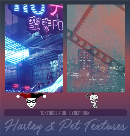 HARLEY & PET #006 [CYBERPUNK]
