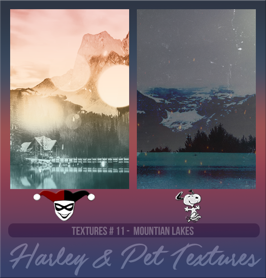 HARLEY & PET #011 [MOUNTAIN LAKES]
