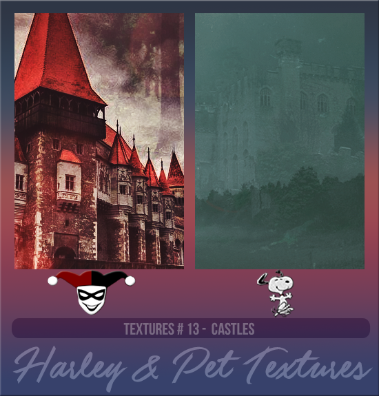 HARLEY & PET #013 [CASTLES]
