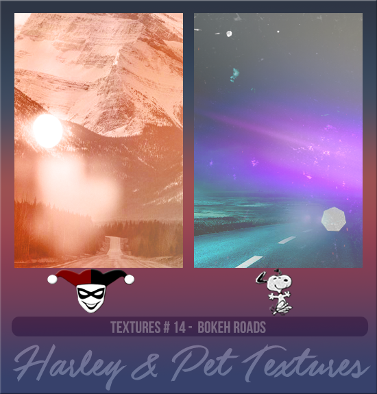 HARLEY & PET #014 [BOKEH ROADS]
