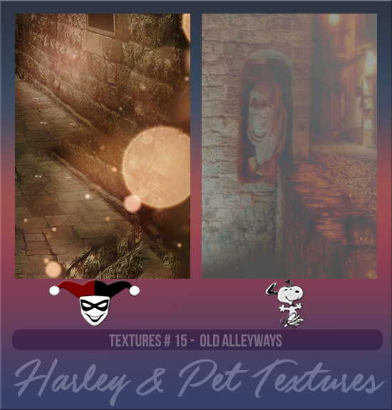 HARLEY & PET #015 [OLD ALLEYWAYS]
