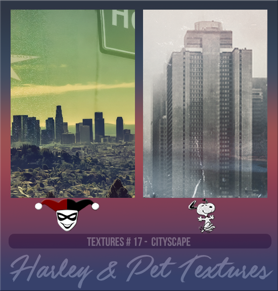 HARLEY & PET #017 [CITYSCAPE]
