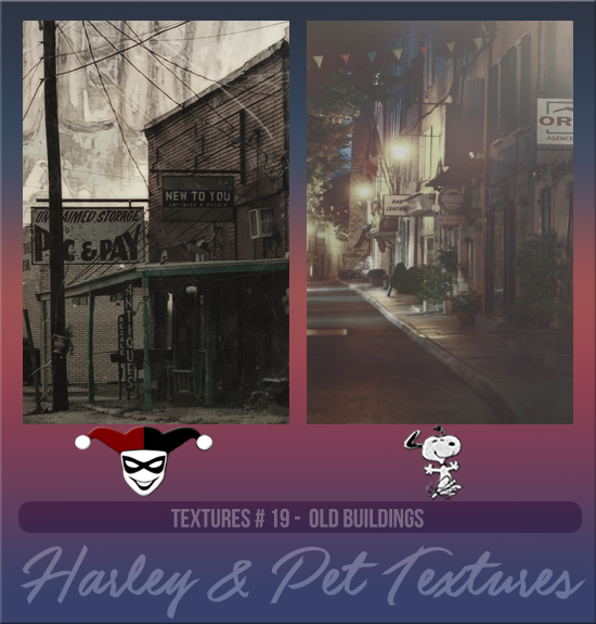 HARLEY & PET #019 [OLD BUILDINGS]
