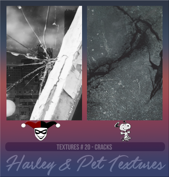 HARLEY & PET #020 [CRACKS]
