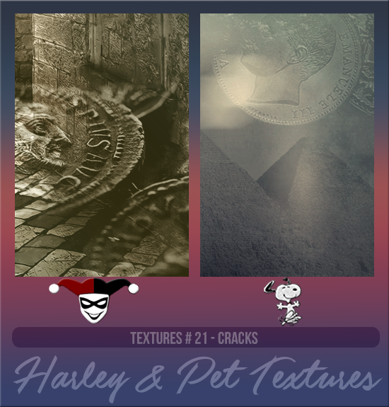 HARLEY & PET #021 [ANCIENT COINS]
