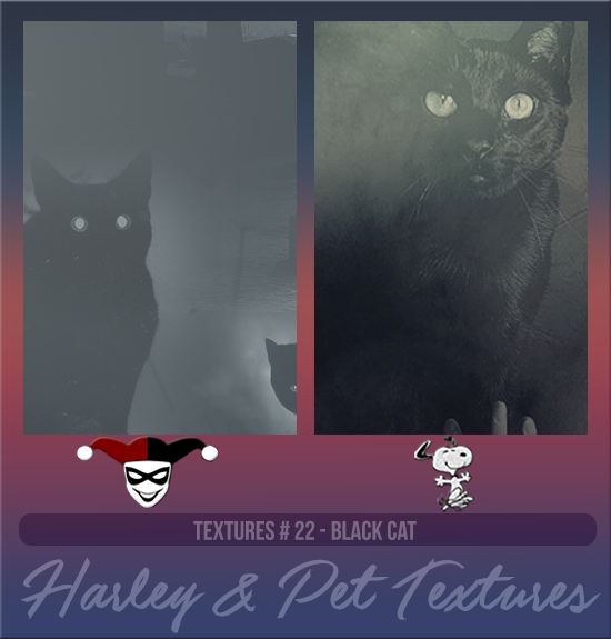 HARLEY & PET #022 [BLACK CAT]
