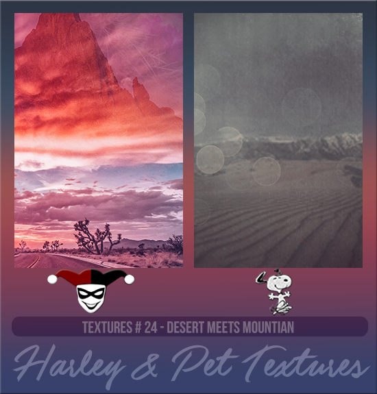 HARLEY & PET #024 [DESERT MEATS MOUNTAIN]
