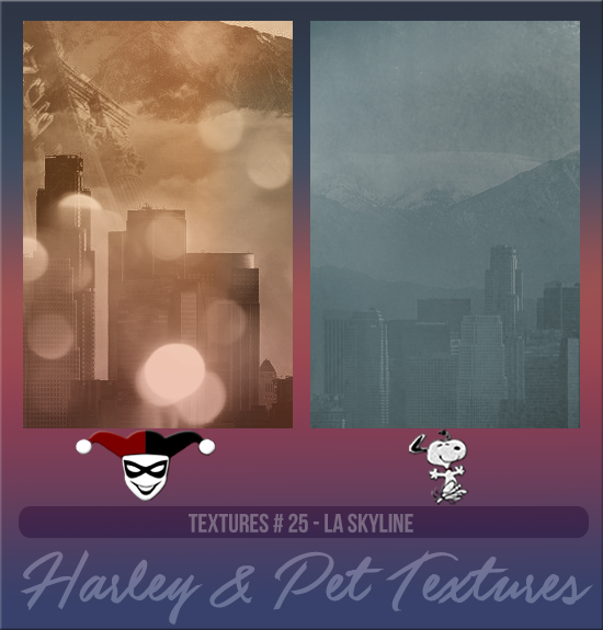 HARLEY & PET #025 [LA SKYLINE]
