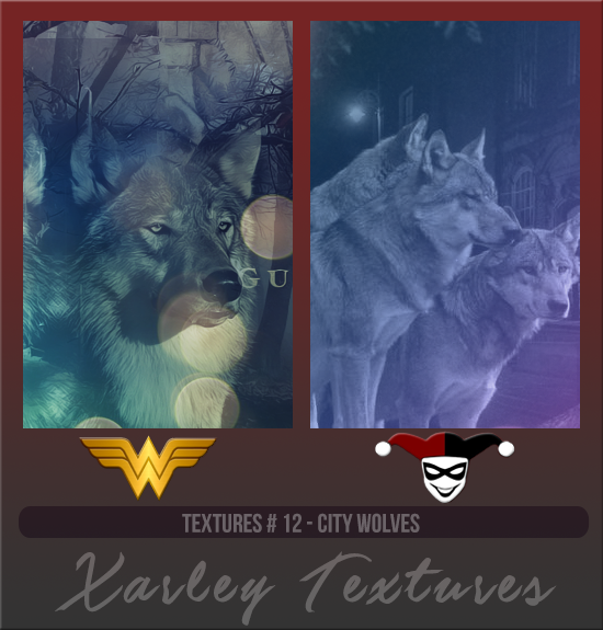 XARLEY TEXTURES #012 [CITY WOLVES]
