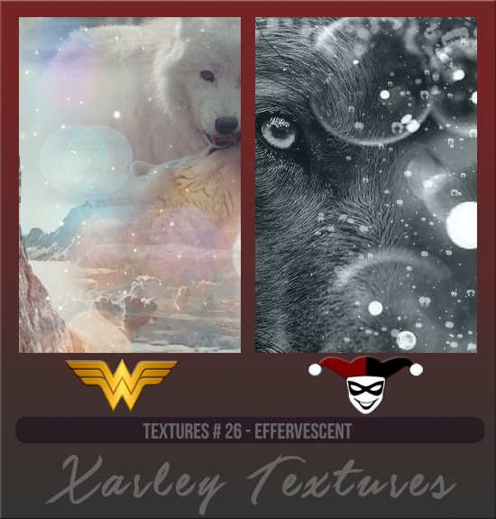 XARLEY TEXTURES #026 [EFFERVESCENT]
Available December 2023 (Countdown to Style 2022)
