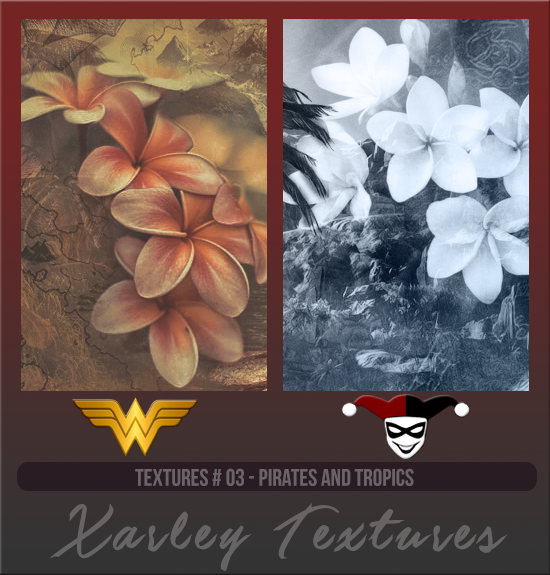 XARLEY TEXTURES #003 [PIRATES AND TROPICS]
