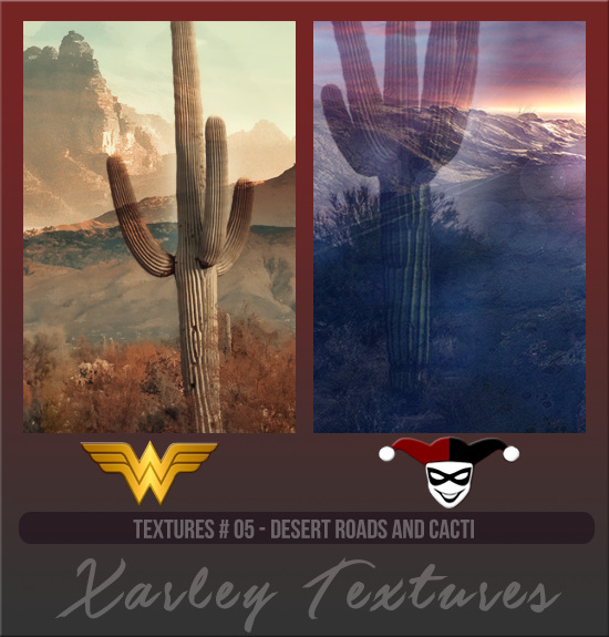 XARLEY TEXTURES #005 [DESERT ROADS AND CACTI]
