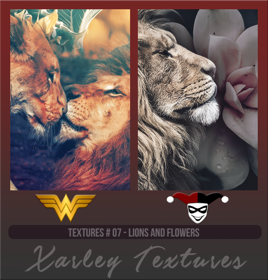 XARLEY TEXTURES #007 [LIONS AND FLOWERS]
