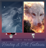 HarleypetTP01.png