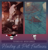 HarleypetTP03.png