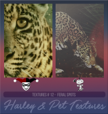 HarleypetTP12.png